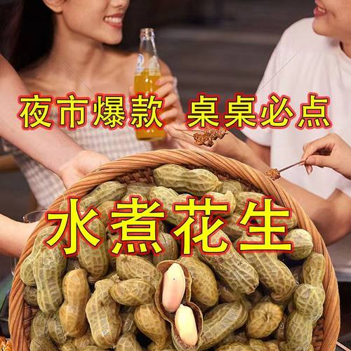 商用水煮花生带壳卤汁五香盐水卤香卤味花生啤酒伴侣下酒菜大排档