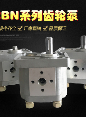 齿轮泵液压油泵CBN-F310 CBN-F314 CBN-F316 CBN-F320 CBN-F306