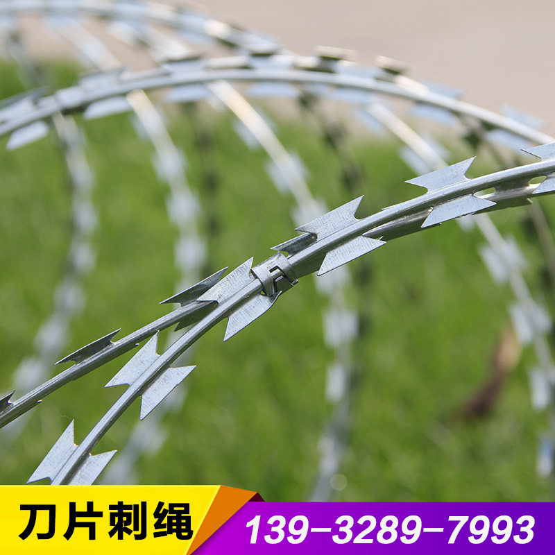 刀片刺绳刺网不锈钢刺丝滚笼热镀锌防盗网带刺铁丝防爬钢丝铁蒺藜