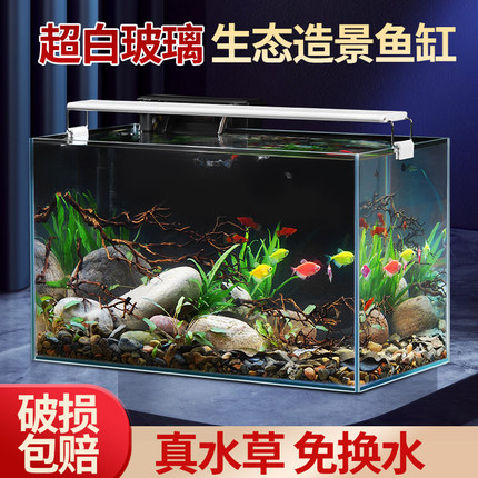 鱼缸水族箱客厅小型迷你桌面免换水生态造景家用小金鱼缸超白玻璃