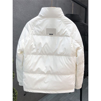 香港白色立领羽绒服男款修