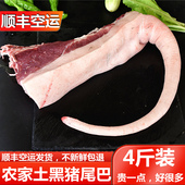 猪尾巴 农家土黑猪尾巴整根新鲜土黑猪长尾巴带尾骨4斤装