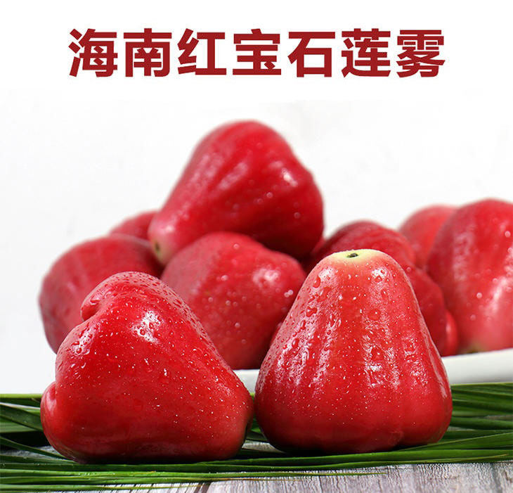 当季正宗新鲜时令海南特产莲雾当季水果大果整箱3斤5斤送礼