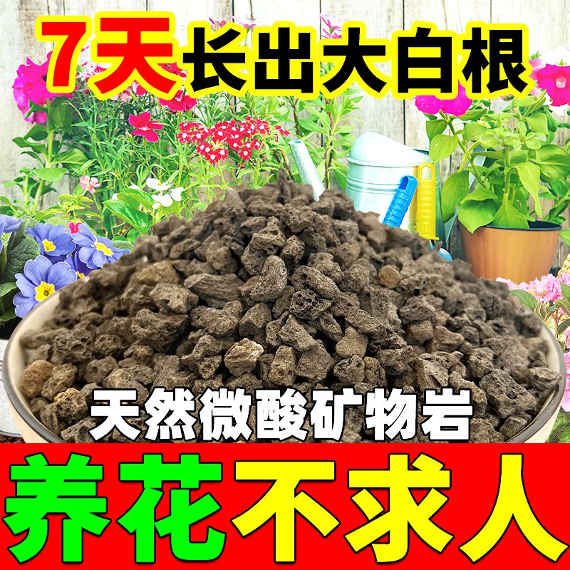 微酸矿物岩颗粒土养花专用小石子透气铺面天然火山石微元素矿物岩