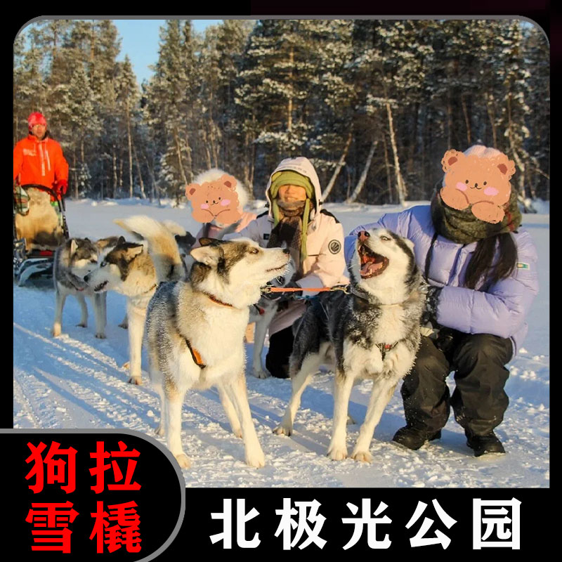 俄罗斯摩尔曼斯克北极光公园哈士奇狗拉雪橇拼車服务商务服务 商务/设计服务 商务服务 原图主图