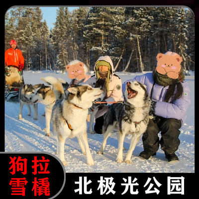 俄罗斯摩尔曼斯克北极光公园哈士奇狗拉雪橇拼車服务商务服务