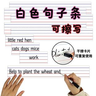 Sentence Strips干擦句子条划线句子条课堂英语单词句子条可擦写