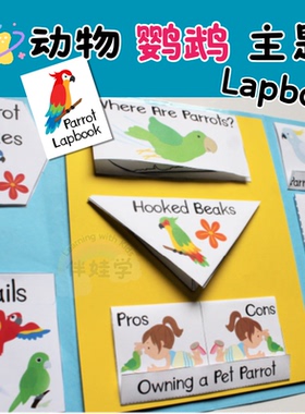 鹦鹉动物小鸟主题Lapbook小学英语启蒙翻翻书diy素材料包手工教具