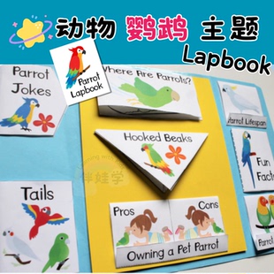 鹦鹉动物小鸟主题Lapbook小学英语启蒙翻翻书diy素材料包手工教具