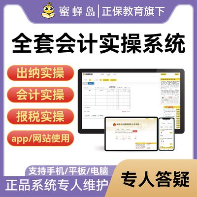 会计实务做账出纳报税做账模拟实操系统税务全盘账软件申报教程