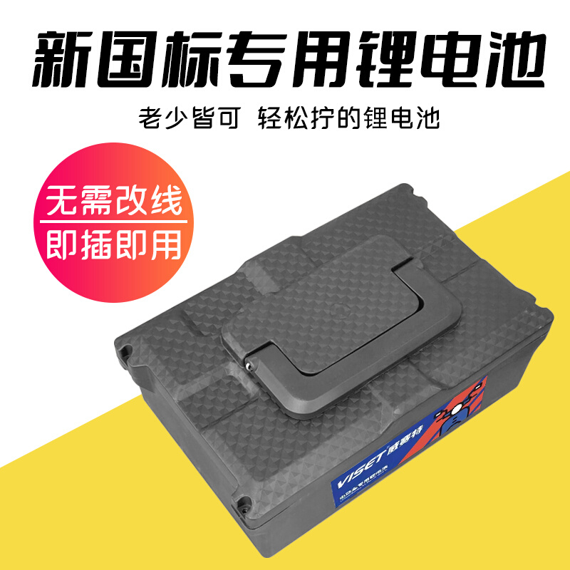 48V锂电池踏板电动车新日台铃爱玛雅迪48伏电瓶可拆卸手机显示