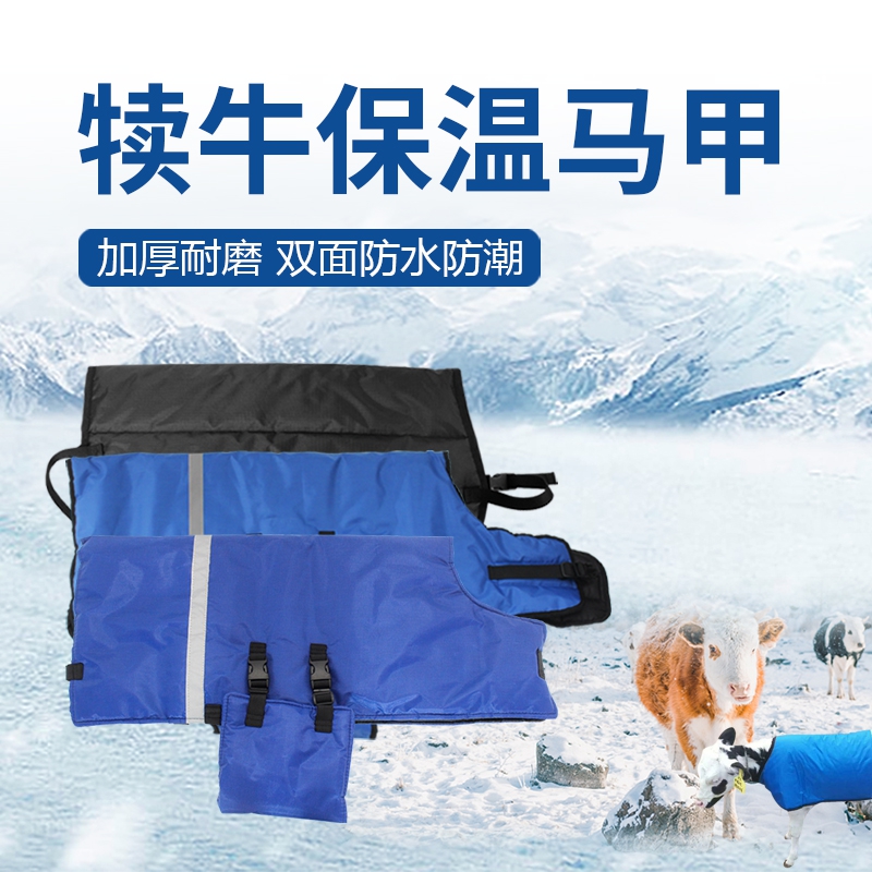 犊牛服加厚创普马甲小牛