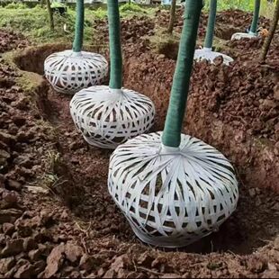 捆扎绳子园林果树拉枝捆土球捆绑带吊秧布条绳无纺布绑树带打包绳