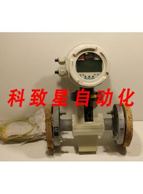 工业配件COPA-XE DE43F流量计 200 LMIN DN25-DN40