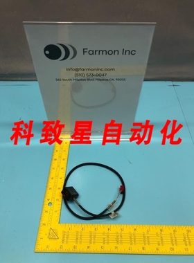 工业配件101-0032 ENDPOINT DETECTOR 181089