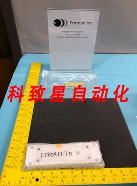 工业配件E17091270 INSULATOR FARADAY BASE 175840