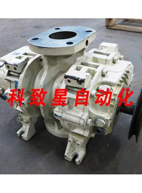 工业配件ROBUSCHI RB-LP 30V-UNI真空泵 RBLP RB-LP30V-U