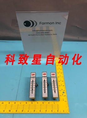 工业配件SERIES RMA2 RATE-MASTER FLOWMETER 184946
