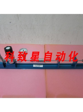 工业配件KINETICS GAS LINE AP1010SM GAUGE PALL FILTER HAM-LET