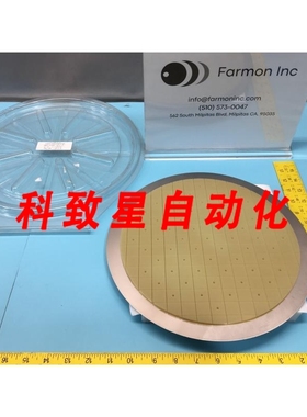 工业配件SPEEDFAM 2805-727003 BACKING POLISH PAD ASSEMBLY 159