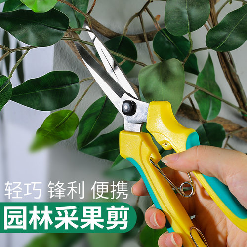 花枝剪果树修枝专用剪刀