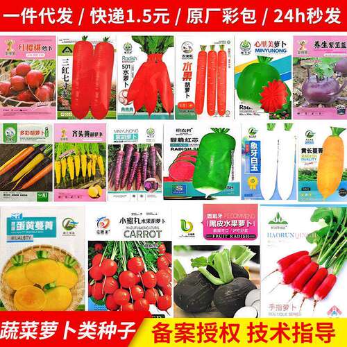 A Complete Collection of Carrot Seeds for Fruits, Red Skin,