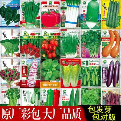 Four season vegetable seeds, vegetable seeds, spinach, lett