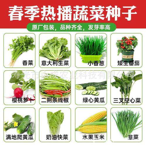 A Comprehensive List of Vegetables, Melons, and Fruits Seed