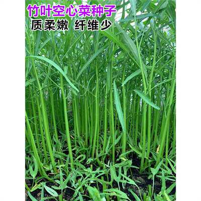Jiannan Bamboo Leaf Hollow Heart Vegetable Seed Balcony Pot