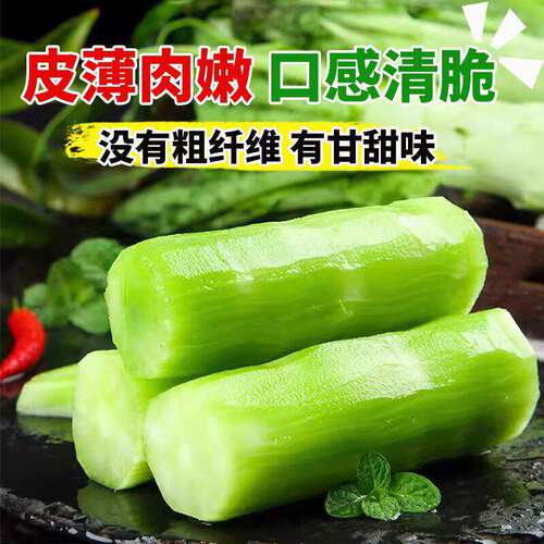 Four season lettuce seeds with green skin, green flesh, and