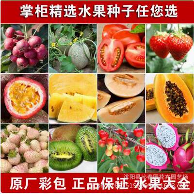 Complete List of Fruit Seeds: Strawberry, Papaya, Dragon Fr