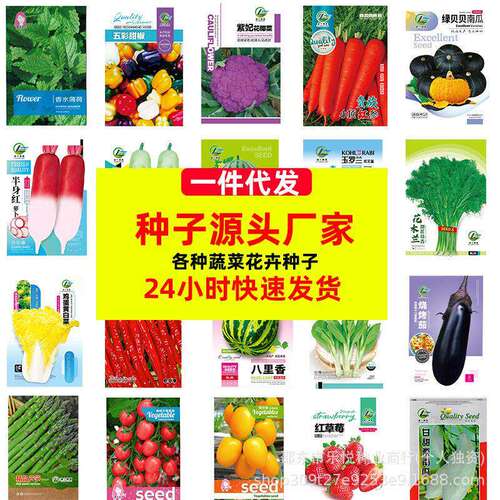 Wholesale of Four Seasons Springand恤Summer Vegetable Seeds
