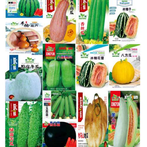Four season vegetable seeds, watermelon pumpkin, loofah, bi
