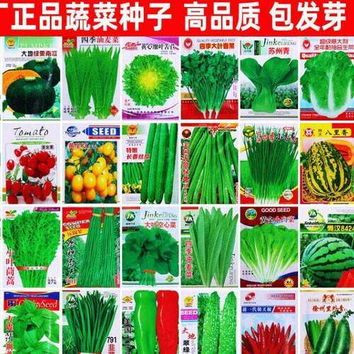 Vegetable seeds, seasonal oil, wheat, watermelon, cucumber,