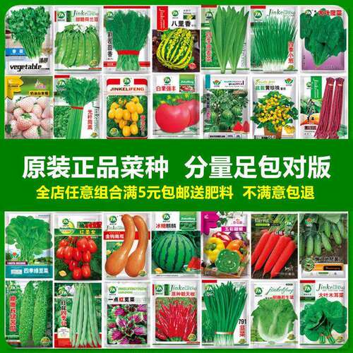 Vegetable seeds, coriander, tomato,恤 chili spinach, cucumbe