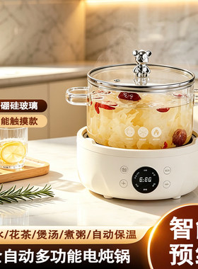 全自动电炖锅加厚玻璃煎中药壶