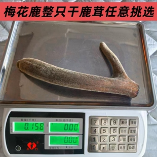 梅花鹿干鹿茸整枝泡酒新鲜鹿茸整只东北二杠鹿角泡酒煲汤鹿乡双阳