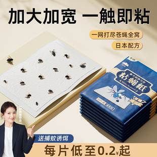 苍蝇贴强力粘蝇板粘蝇纸灭蝇子蚊子杀手克星捕捉器一扫光饭店家用