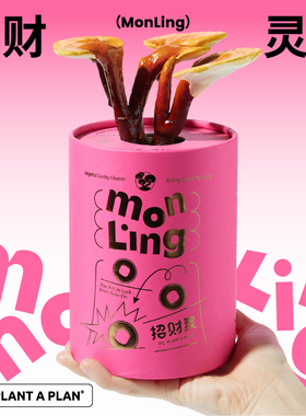 【新年发财礼物】pap招财灵灵芝盆栽礼盒桌面绿植闺开业升职加薪