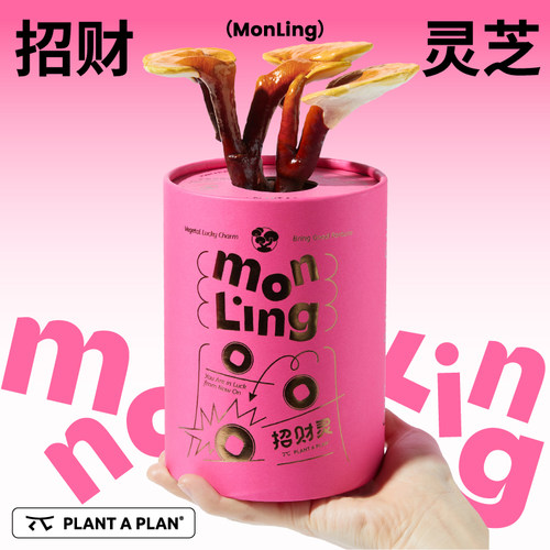 【发财礼物】pap招财灵灵芝盆栽礼盒桌面绿植闺开业升职加薪