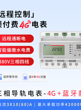 施王物联4G三相四线远程智能预付费电表计度器物联网充值抄电表