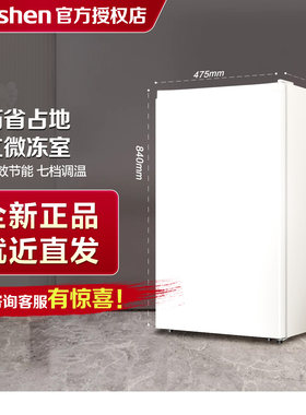 Ronshen/容声95升单门小型节能家用宿舍租房一级能效白色冷藏冰箱