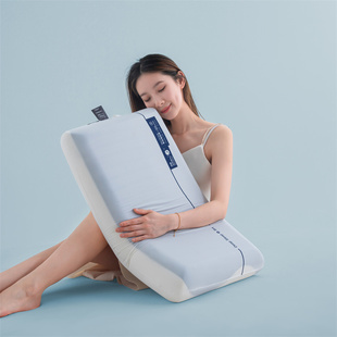 自然醒零压记忆棉枕头酒店慢回弹护颈椎助睡眠专用成人一对枕芯