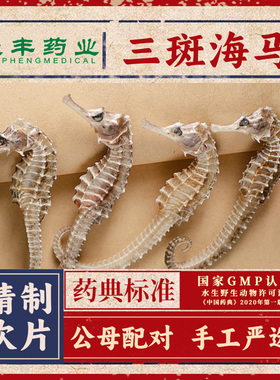大海马三斑海马干货一公一母配对中药材泡酒滋补品温肾助阳煲汤