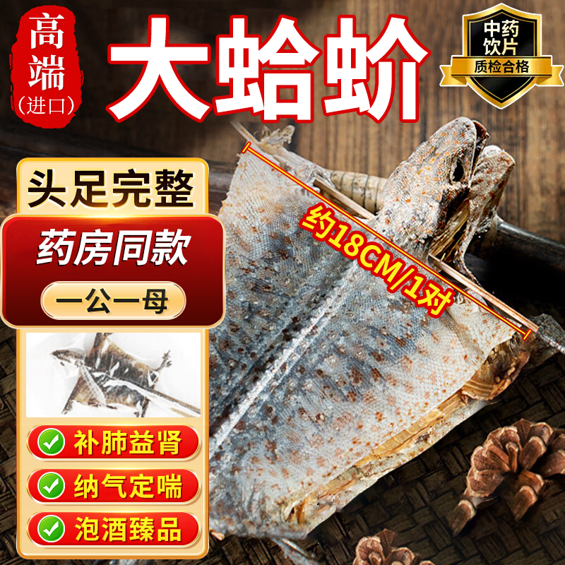 吉明丰蛤蚧一对大蛤蚧泡酒煲汤