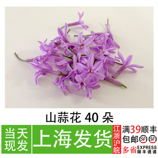 新鲜山蒜花摆盘花草可食用花餐厅冷盘菜品创意造型甜品装饰小花