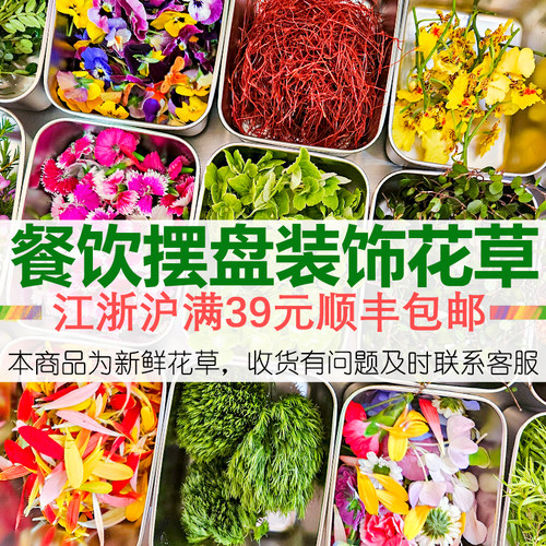 新鲜蛋糕装饰摆盘装饰花草