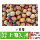 沙拉配菜可做凉拌菜餐厅甜品 新鲜树番茄 大树番茄