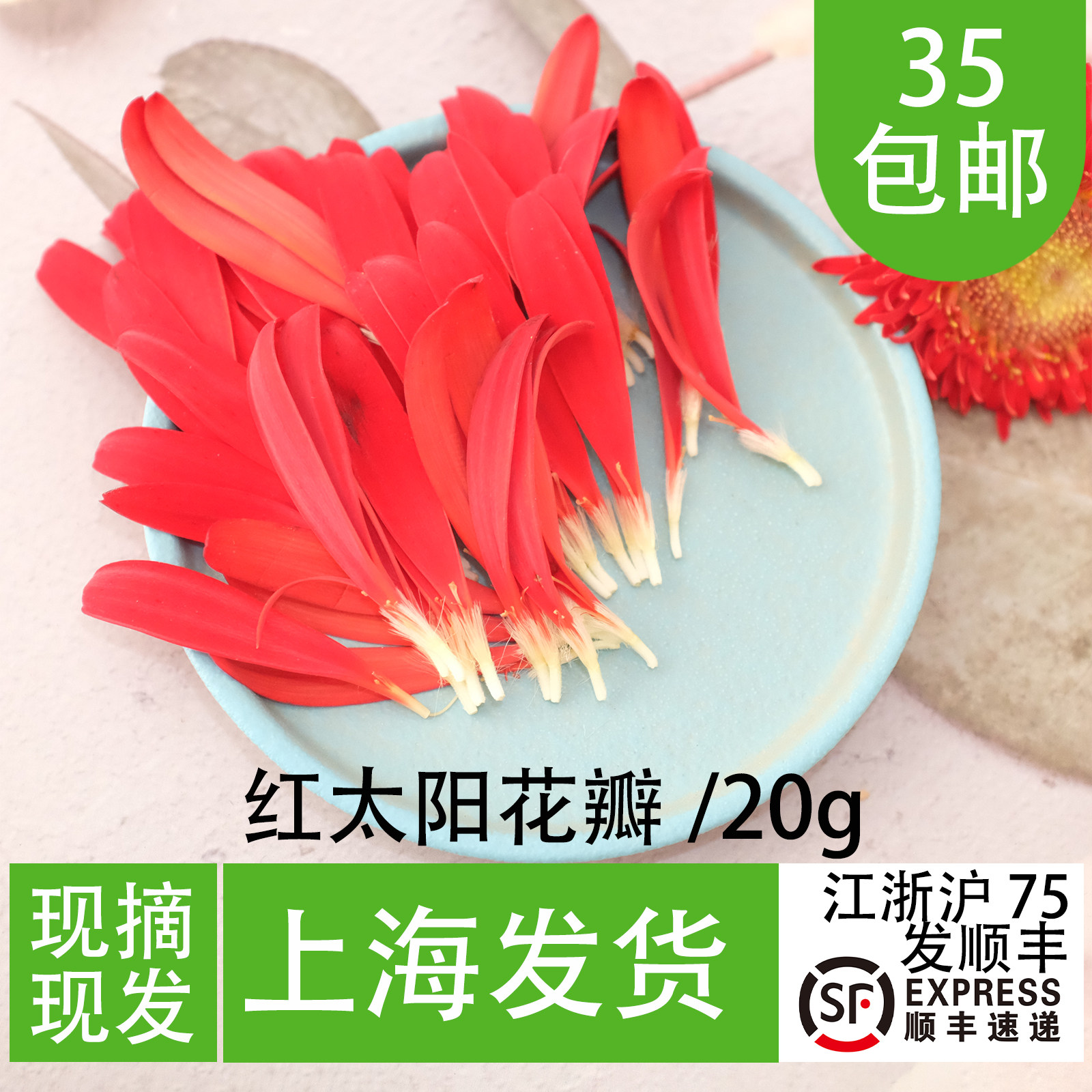 太阳花 红色花卉 厨师冷艺摆盘装饰花 西餐厅私房菜冷盘点缀花草