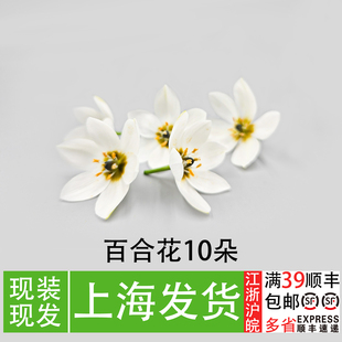 新鲜百合花10朵蛋糕装饰花餐饮冷盘菜品摆盘花草西餐创意造景点缀